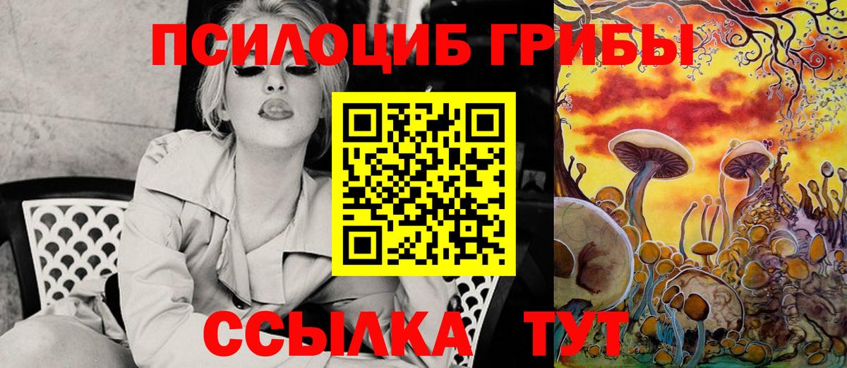 Грязи  Псилоцибиновые грибы Psilocybine cubensis  Вход с VPN 