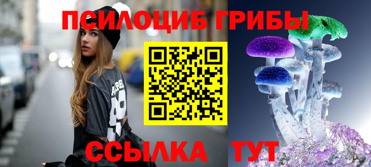 Галлюциногенные грибы Psilocybe Грязи